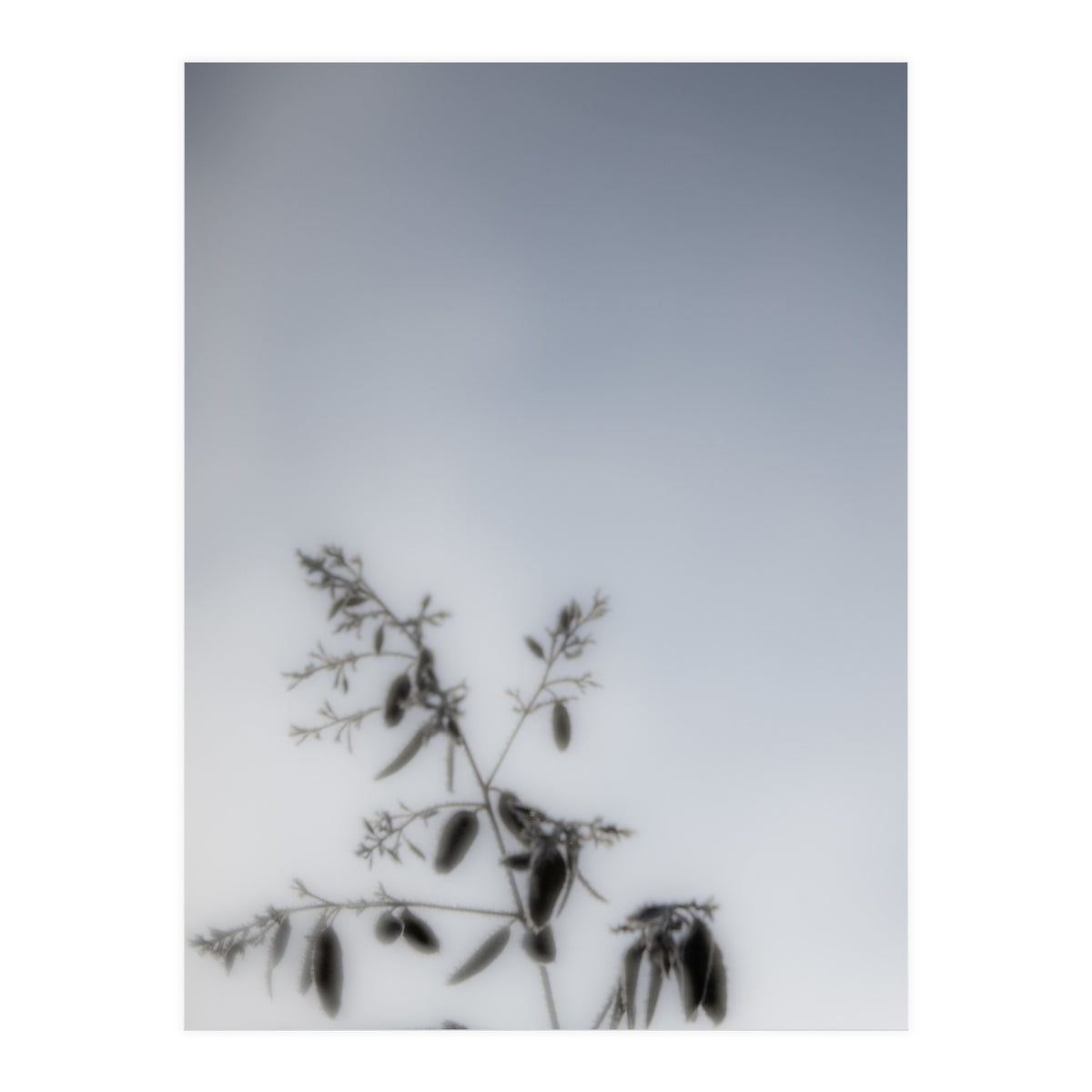 Forgotten Memories of Summer #17 (Print Only)