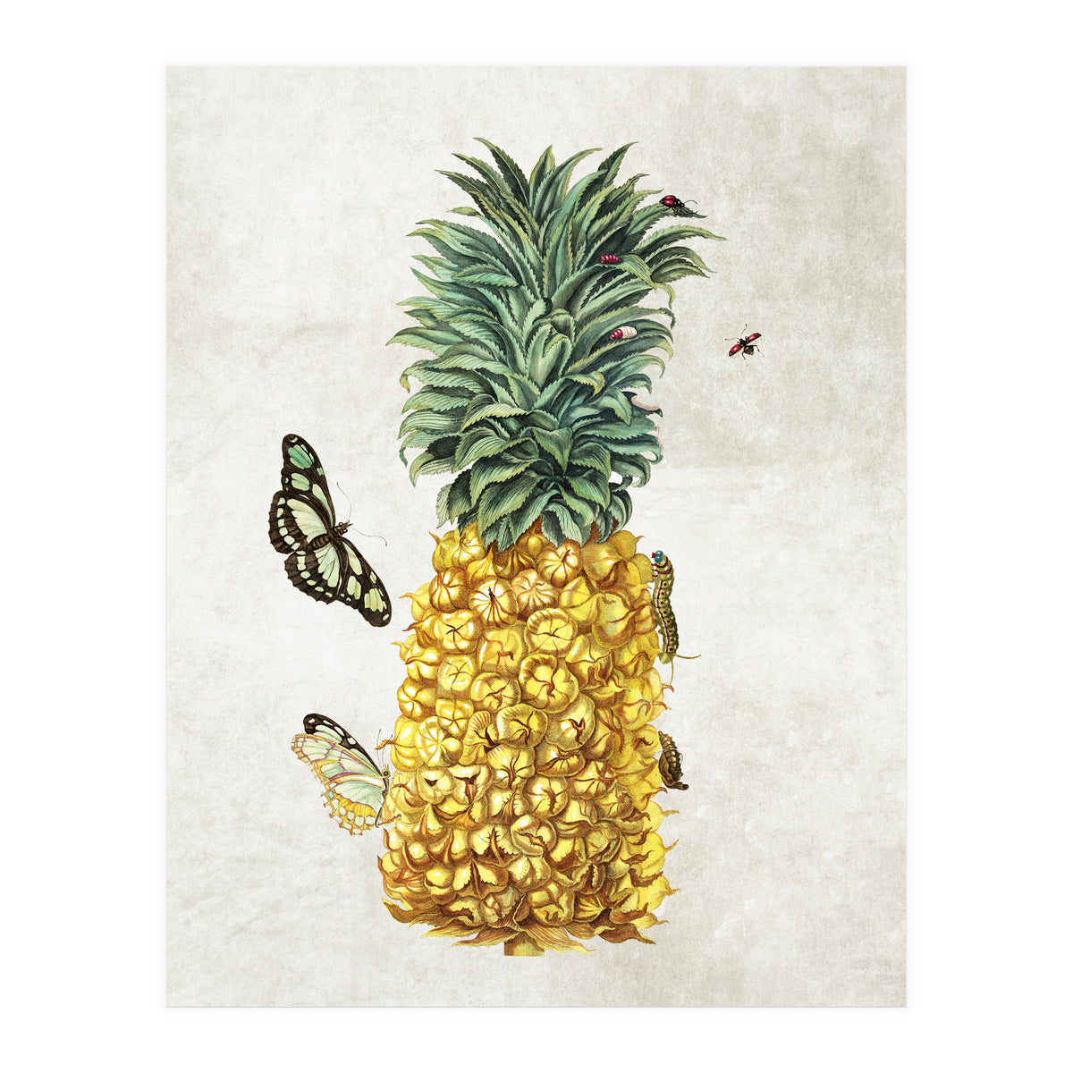 ananas (Print Only)