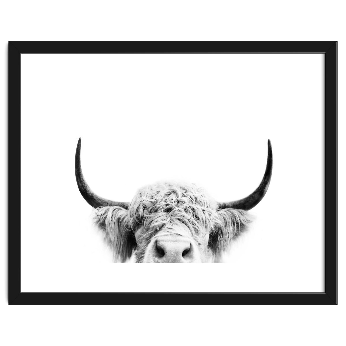 Peeking cow BW