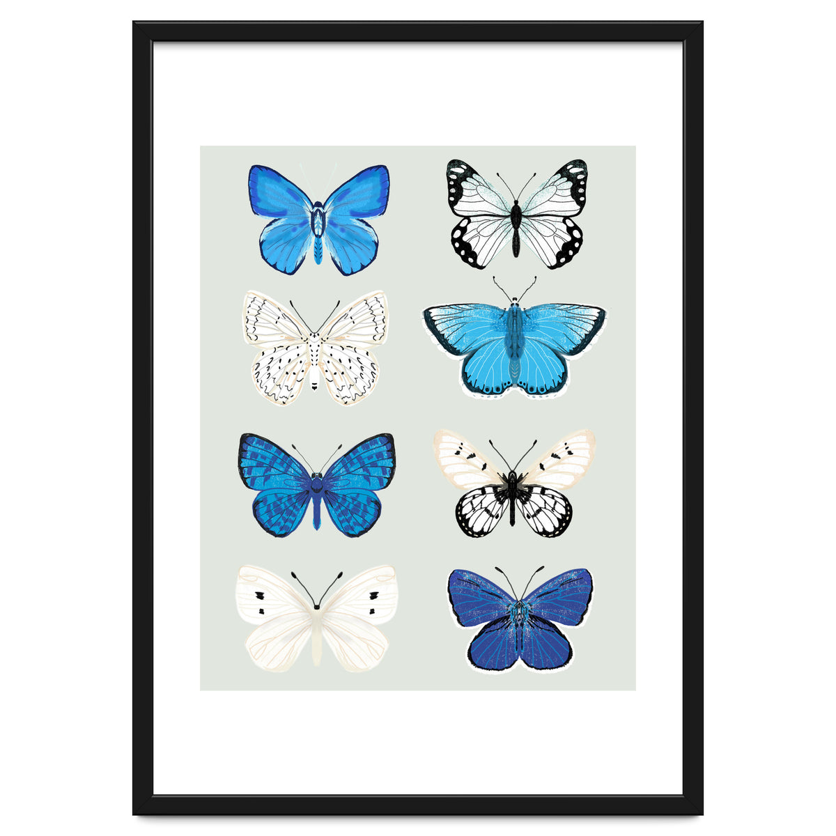 Lepidoptery Study No. 3