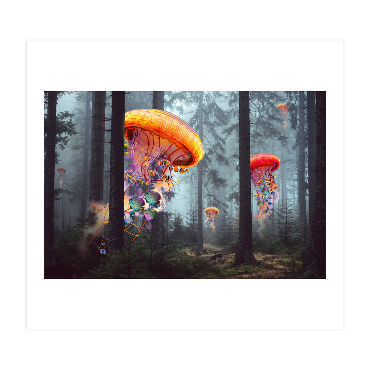 Forest Jellyfish For Print7000 (Print Only)