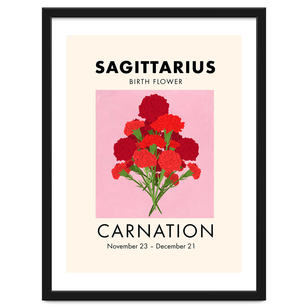 Sagittarius Birth Flower Carnation