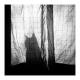 Mr. Wallace (Print Only) thumbnail