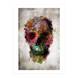 Skull (Print Only) thumbnail