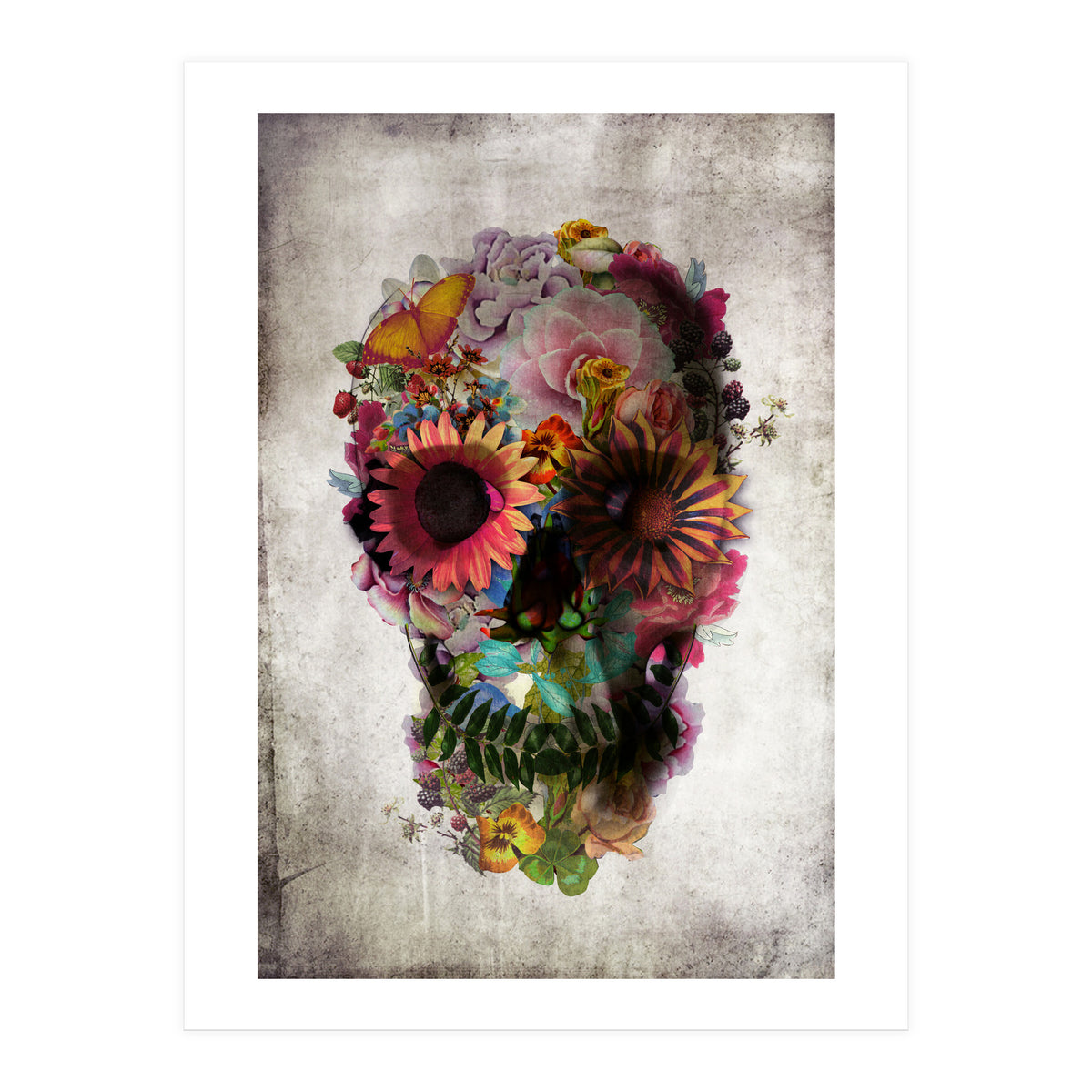Skull (Print Only)