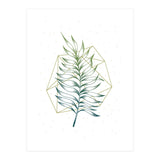 Geometry And Nature I (Print Only) thumbnail