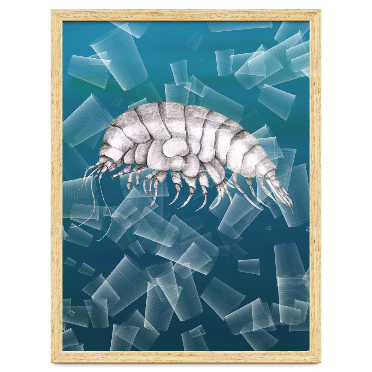 Eurythenes Plasticus