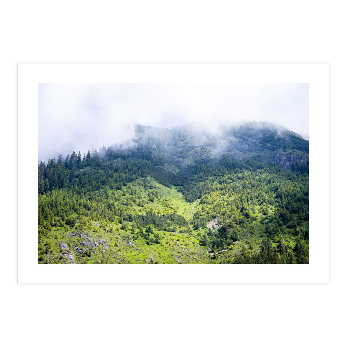 Ascension (Print Only)