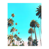 OC (Print Only) thumbnail