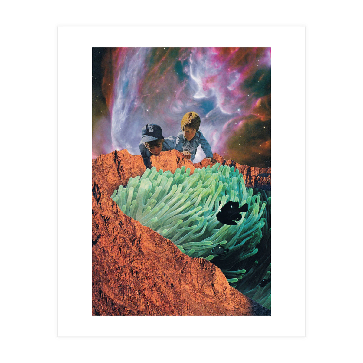 Blackfish (Print Only)