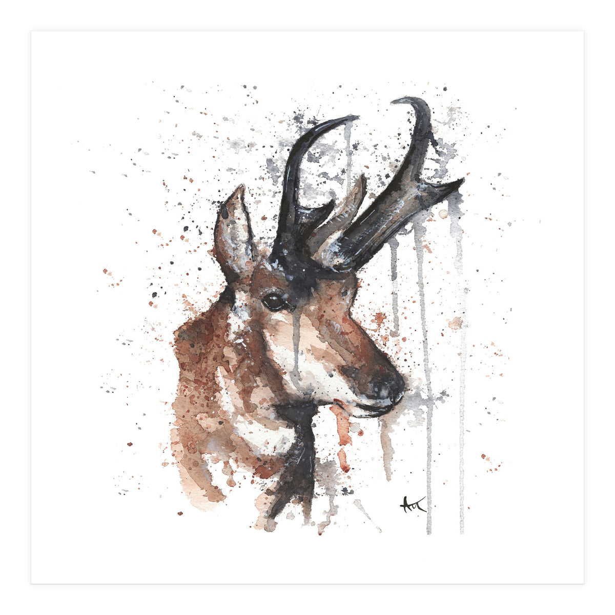 Red deer - Wildlife Collection (Print Only)