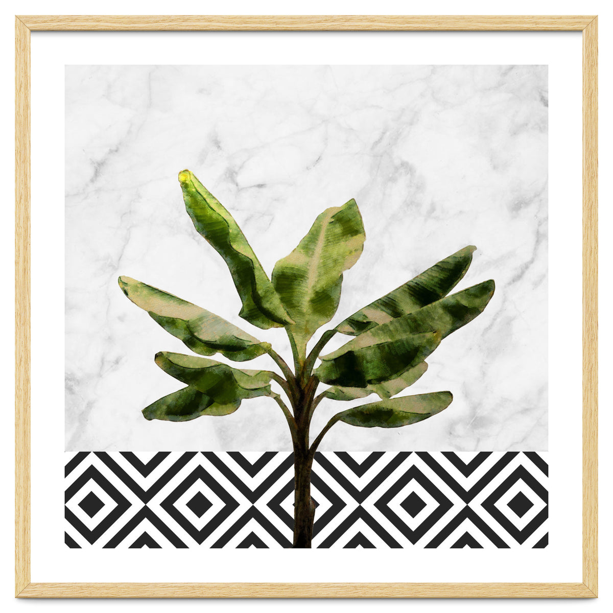 Banana Plant On White Marble And Checker Wall