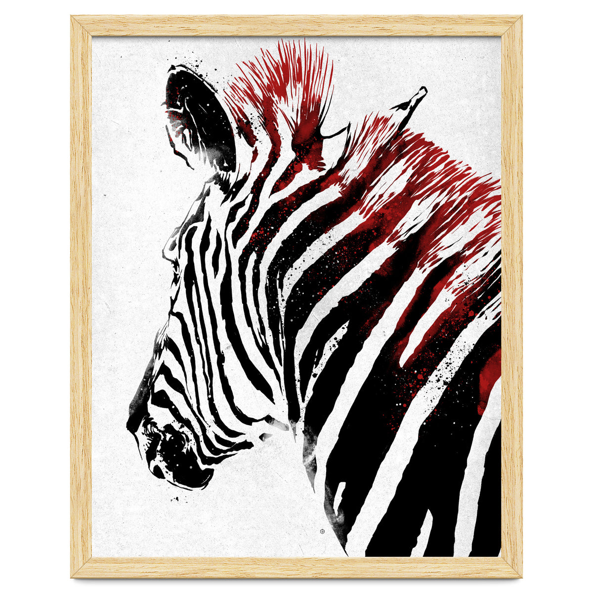 Zebra