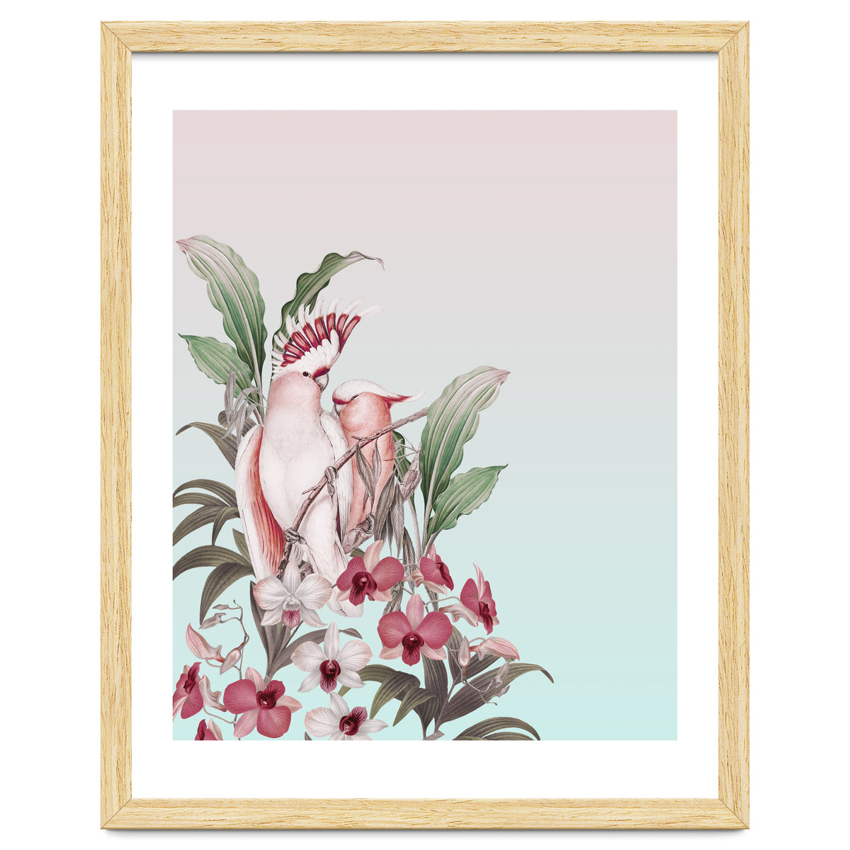 Pastel Cockatoos Paradise