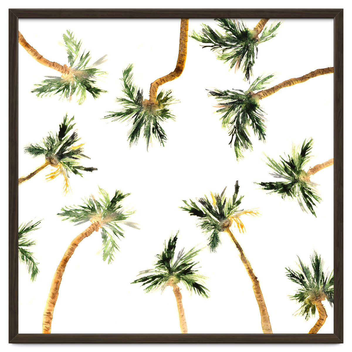 Under the coconut palms || watercolor