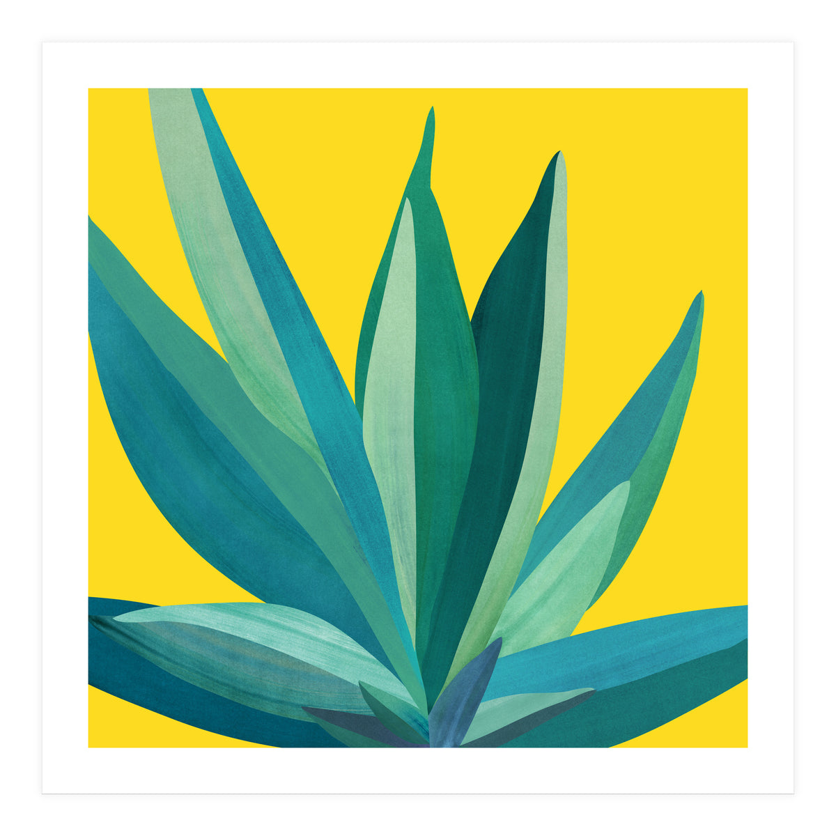 Spring Cactus (Print Only)