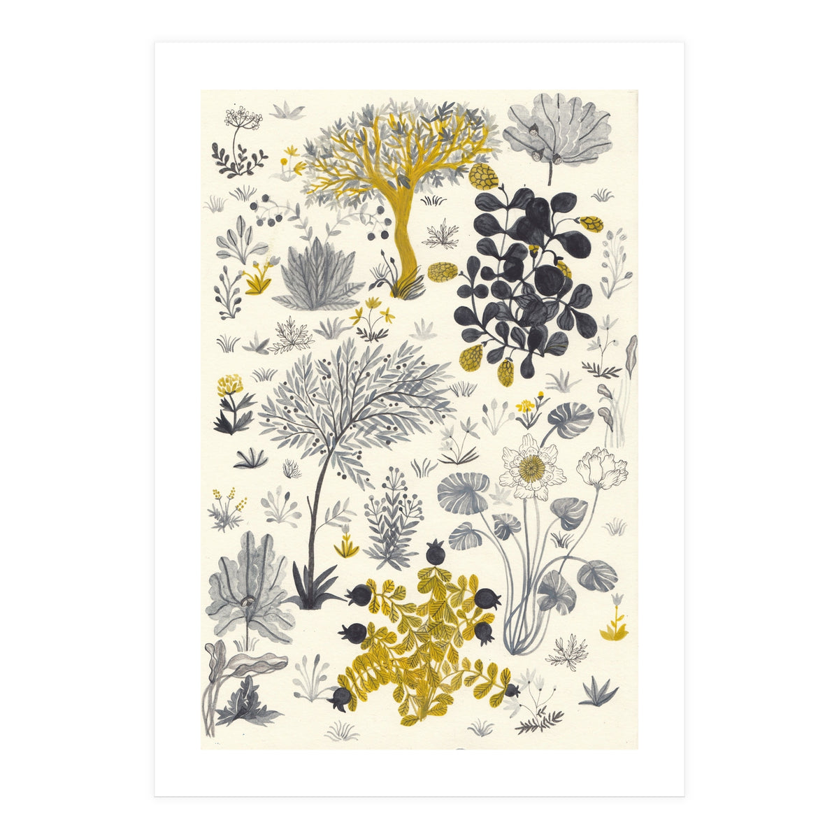 Genesis (Print Only)