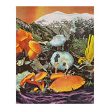 Glowing Mushrooms (Print Only) thumbnail