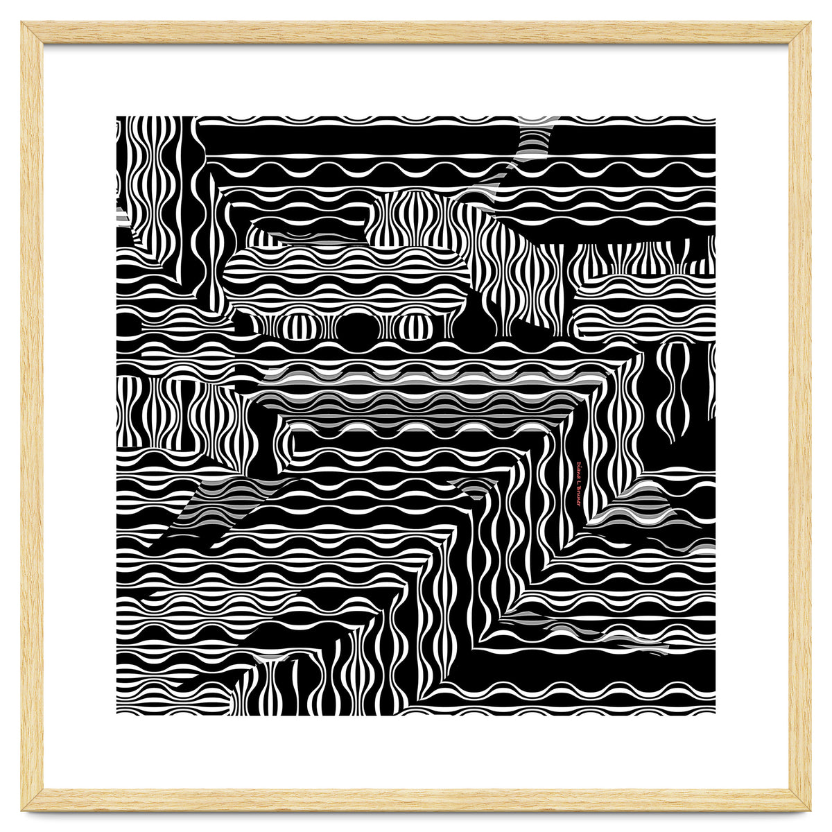 BLACK AND WHITE EXOTIC