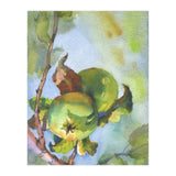 Apples on a branch (Print Only) thumbnail