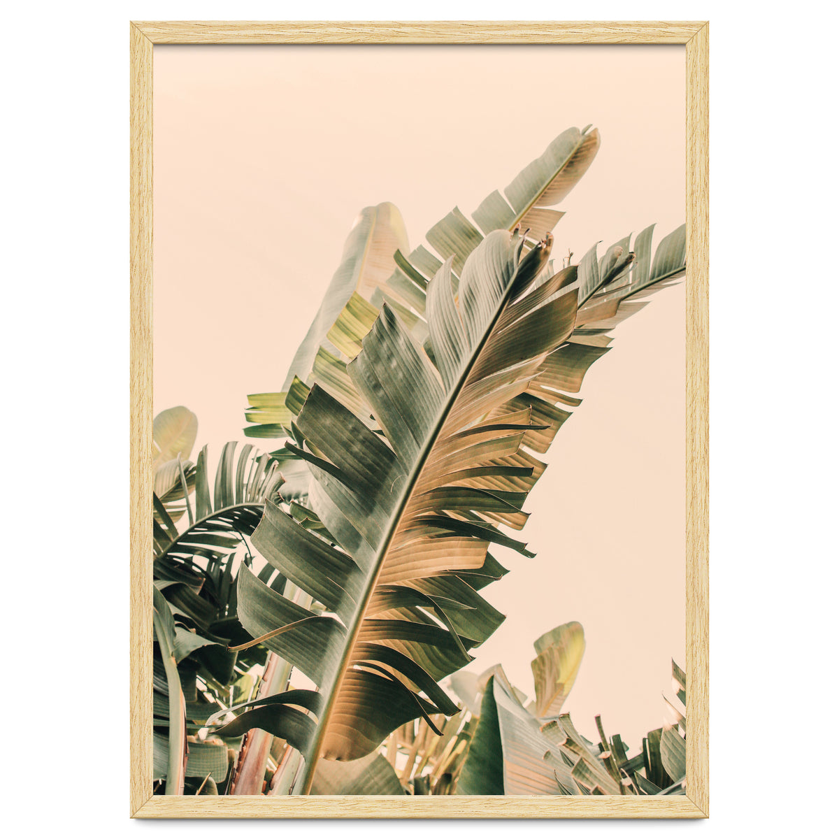 Growing Green Alicia Bock