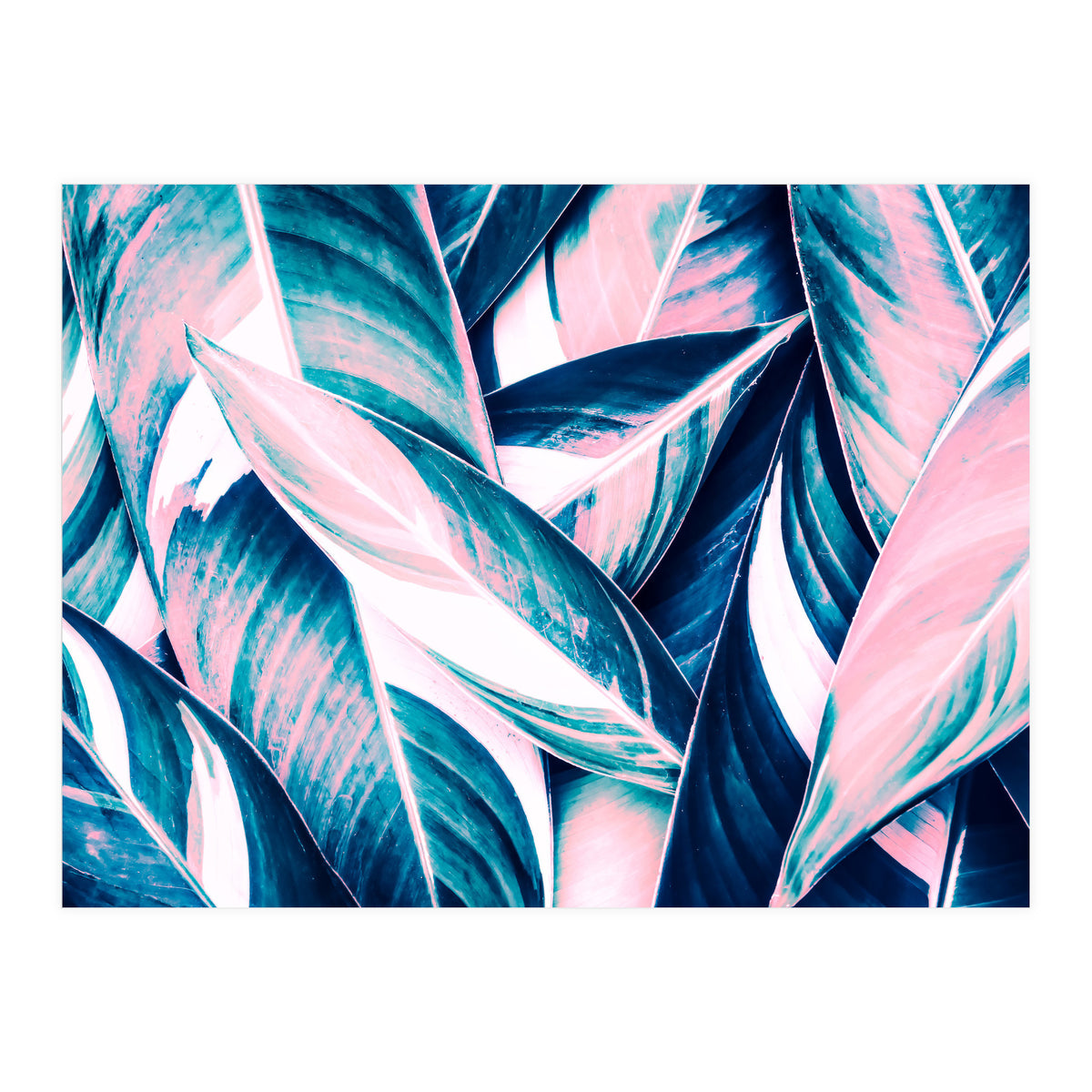 Botanical leaf pink and blue (Print Only)