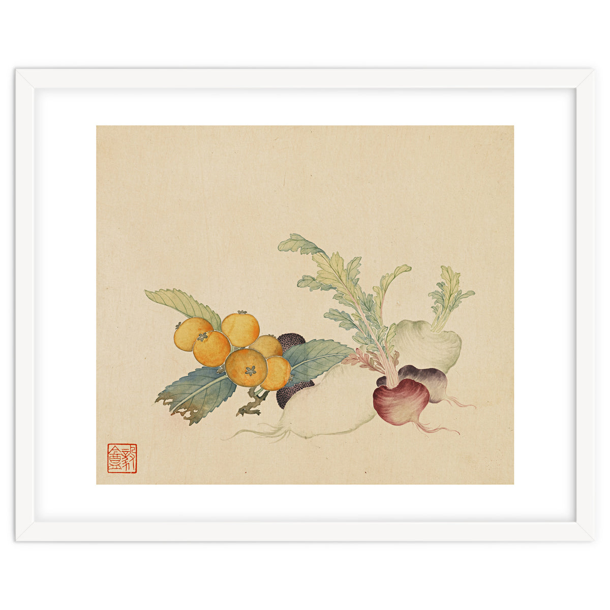 Wang Chengpi~flowers And Vegetables, Vegetables, Fruits, Loquat, White Radish, Carrot, Radish