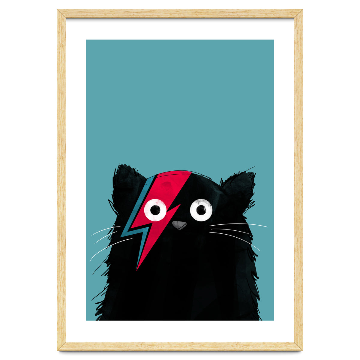 Doozal Cat Bowie Black