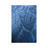 Ice Pattern Number 2 (Print Only) thumbnail