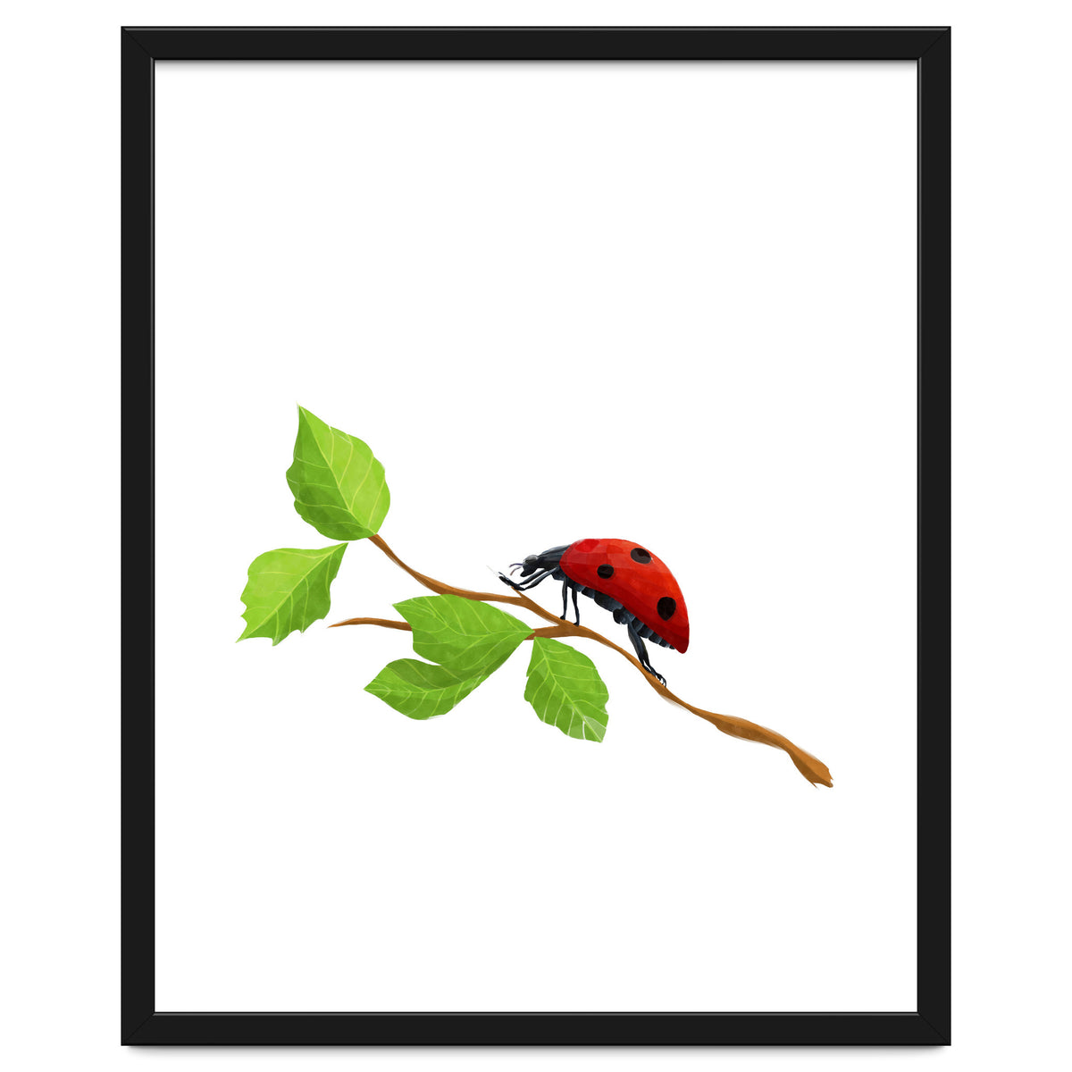 Ladybug