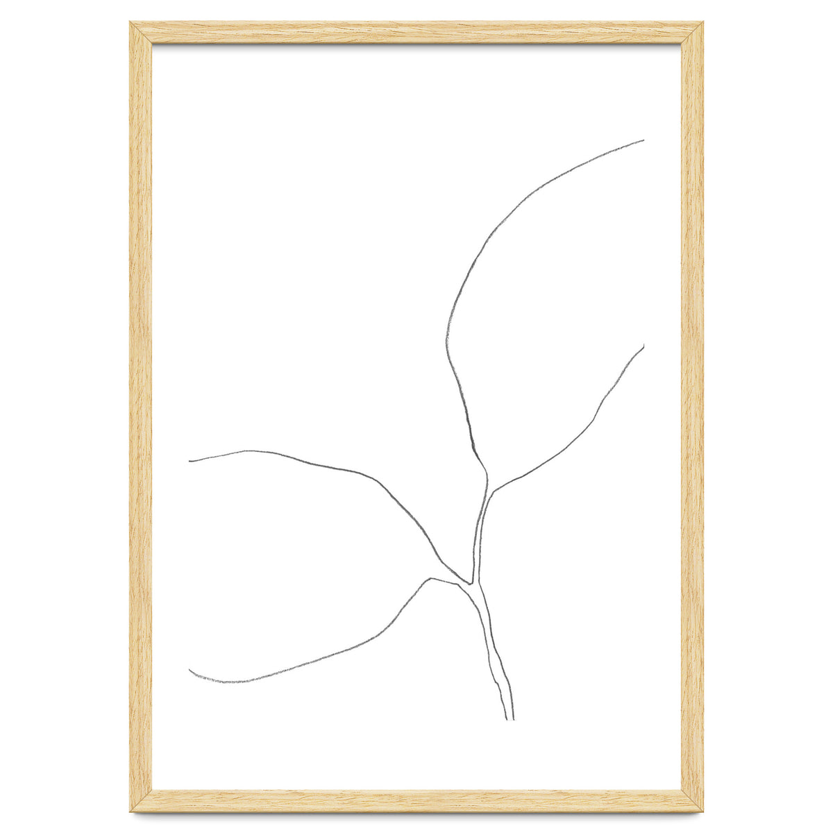 Seedling Leaning Left