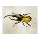 83 (Print Only) thumbnail