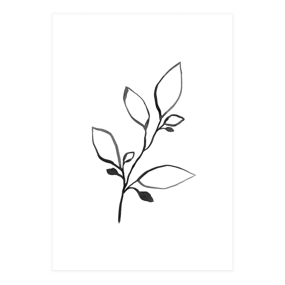 Ink Plant (Print Only)