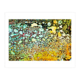 Sage (Print Only) thumbnail
