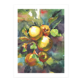 Apples on a branch (Print Only) thumbnail
