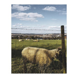 Bucolism 5 (Print Only) thumbnail
