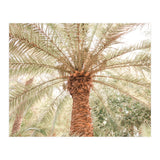 Tropical Palm Tree (Print Only) thumbnail
