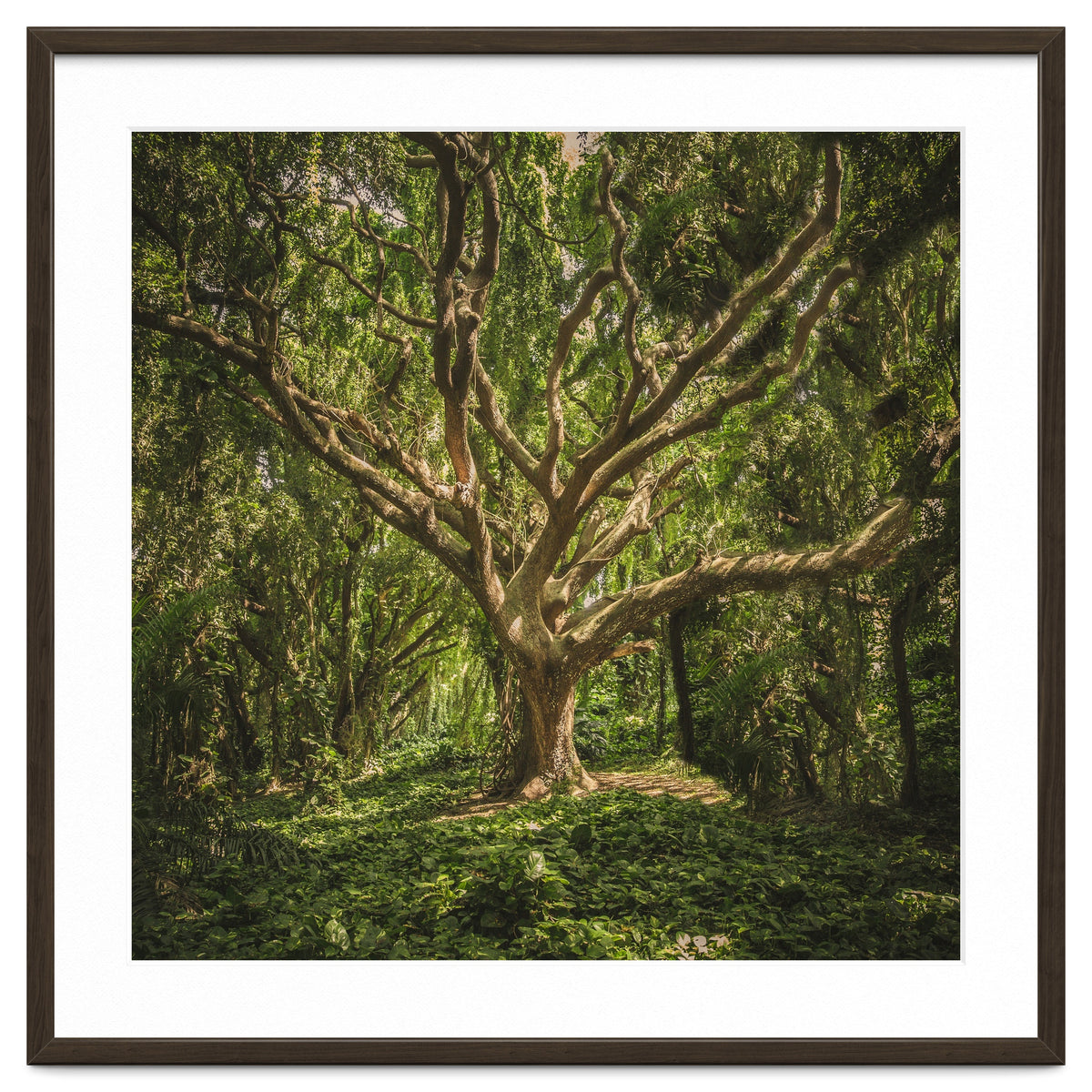 Spirits inside the wood