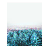 Tree Tops (Print Only) thumbnail