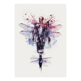 Metamorphose (Print Only) thumbnail