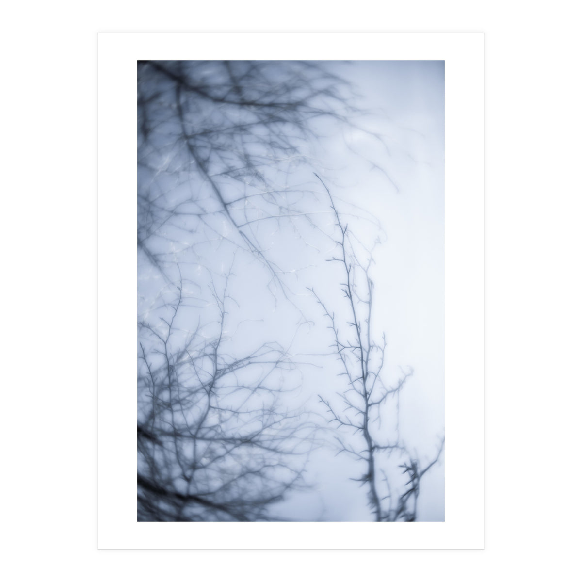 Forgotten Memories of Summer #21 (Print Only)