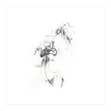 THE BODY (Print Only) thumbnail