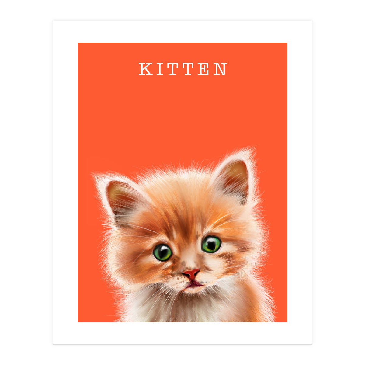 Kitten (Print Only)