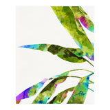 Banana Leaves Holi (Print Only) thumbnail