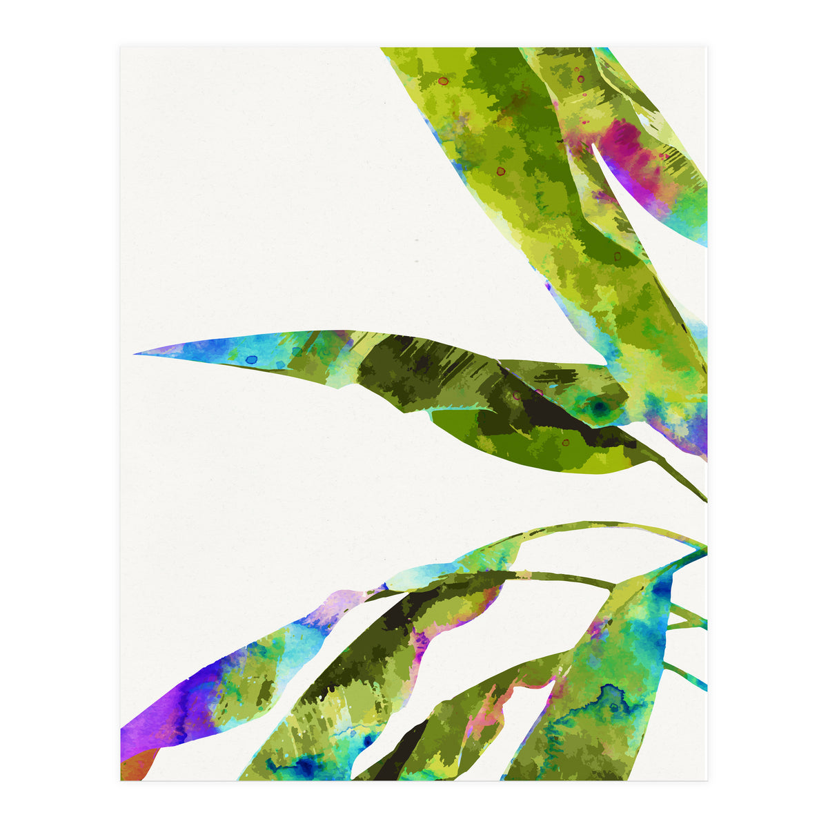 Banana Leaves Holi (Print Only)