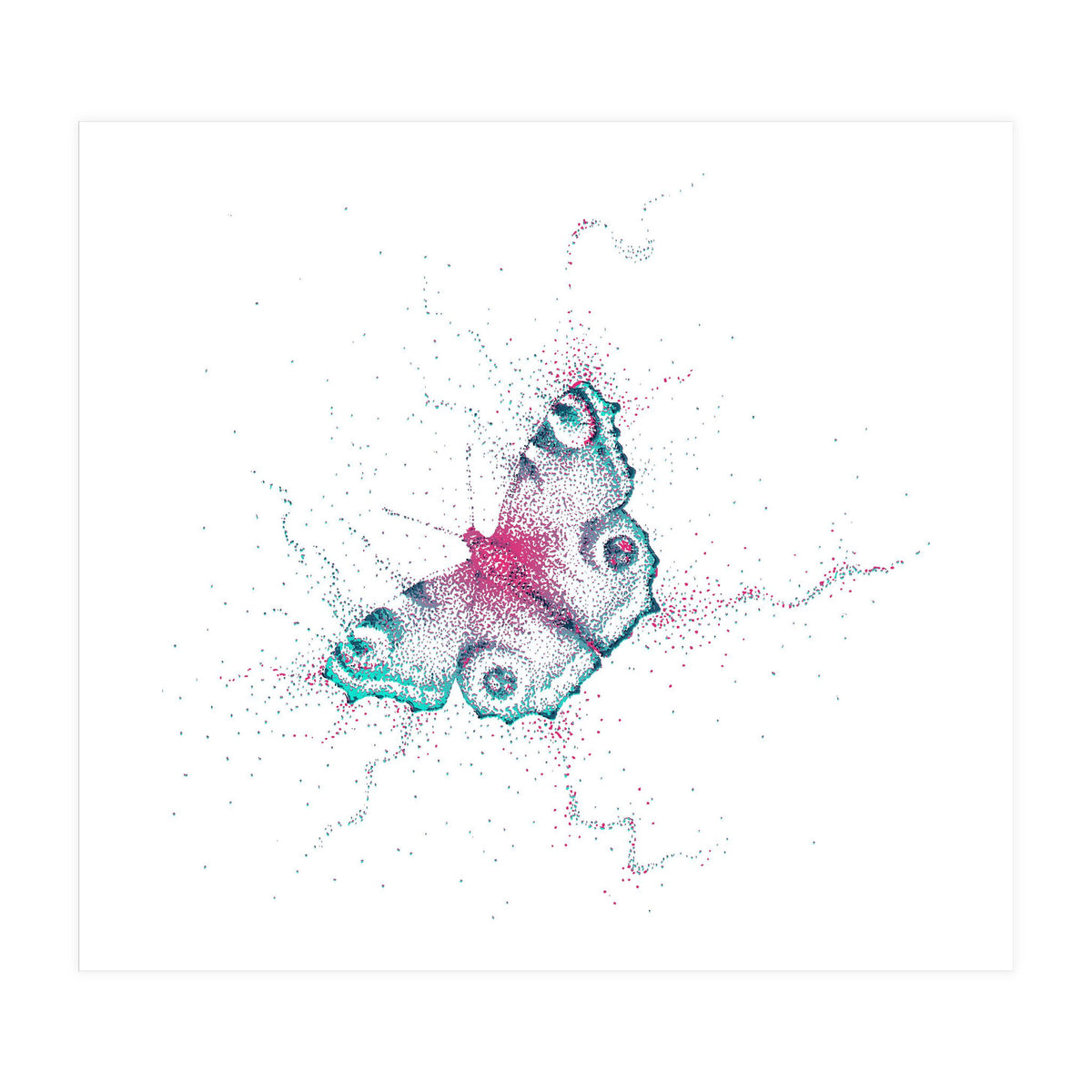 Peacock Butterfly (Print Only)