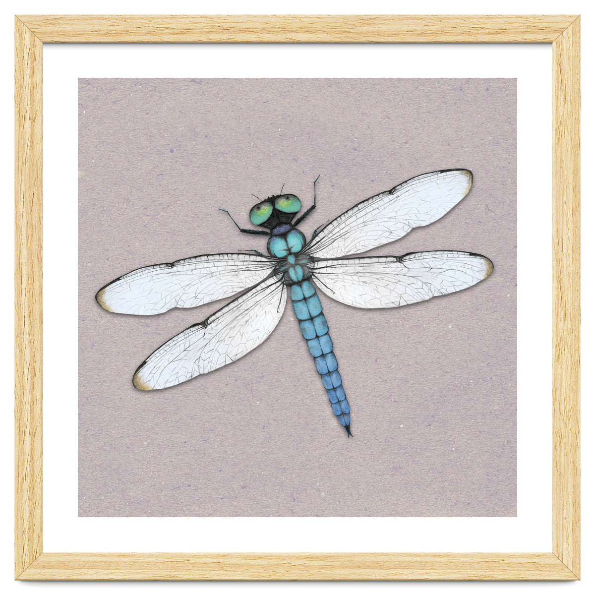 Blue dragonfly