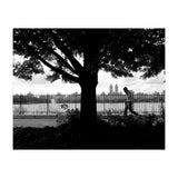 Central Park, New York City (Print Only) thumbnail
