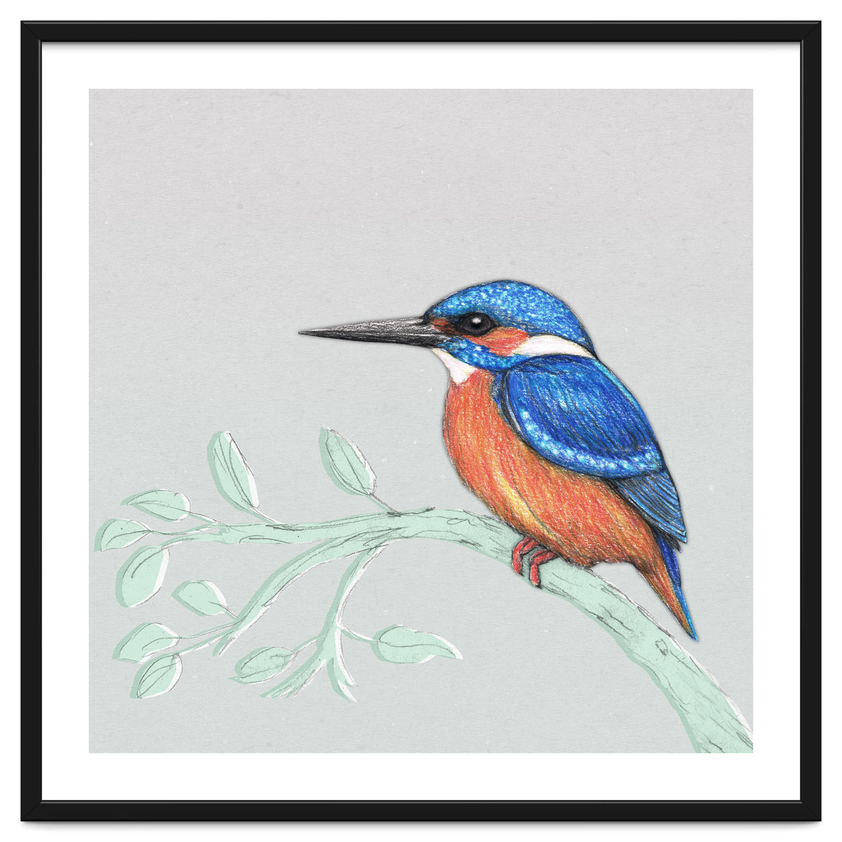 The kingfisher
