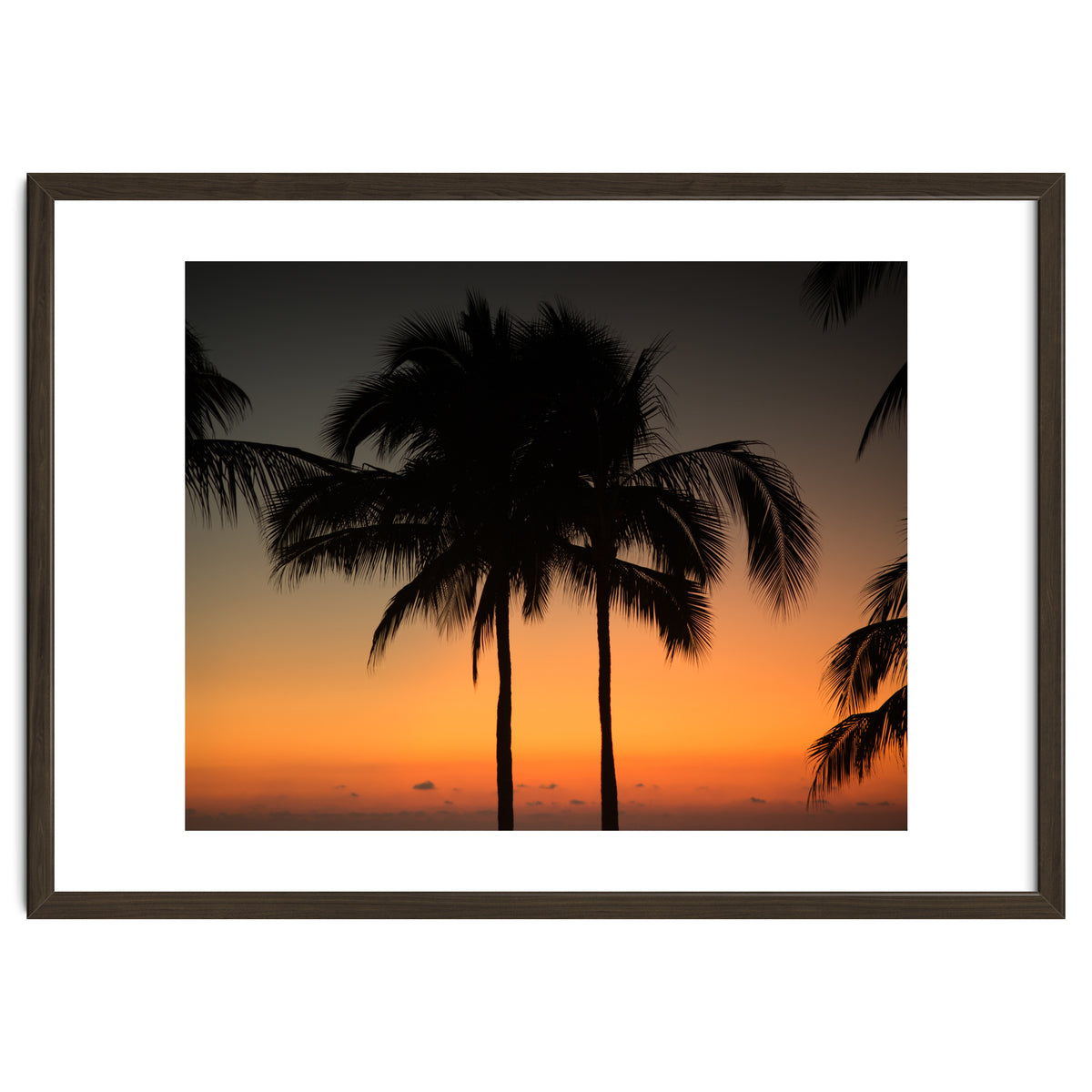 Mexico, November nights